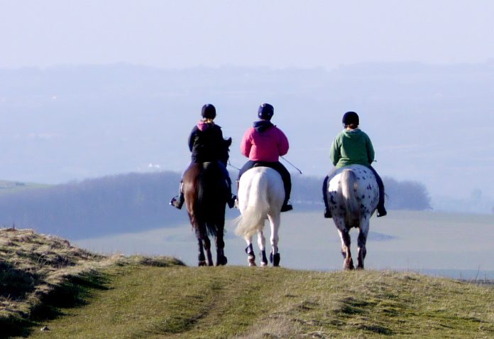 horses riding