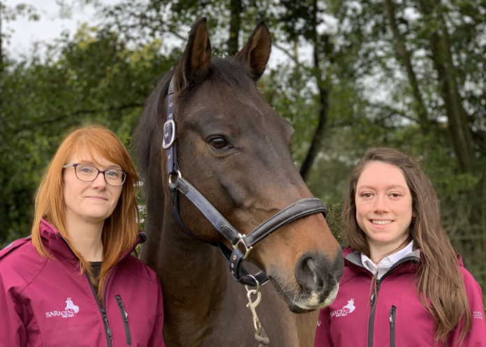 horse and 2 people