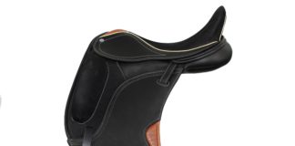 saddle