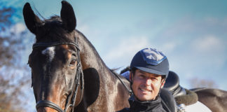horse and rider