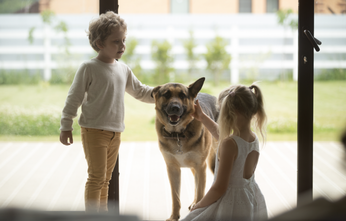 Boy, girl and a dog