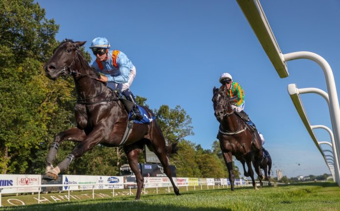 A virtual open day will offer applicants an insight into a new course in raceho copy