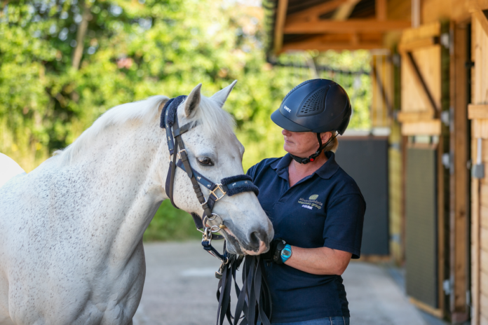 Alnorthumbria-Equine-Dawn-Claxton-nurse-2-